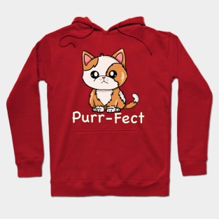 Purr-fect Cute Kitten Hoodie